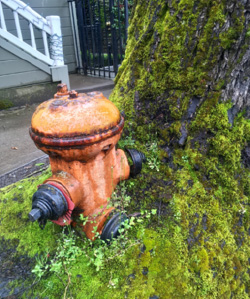 fire-hydrant